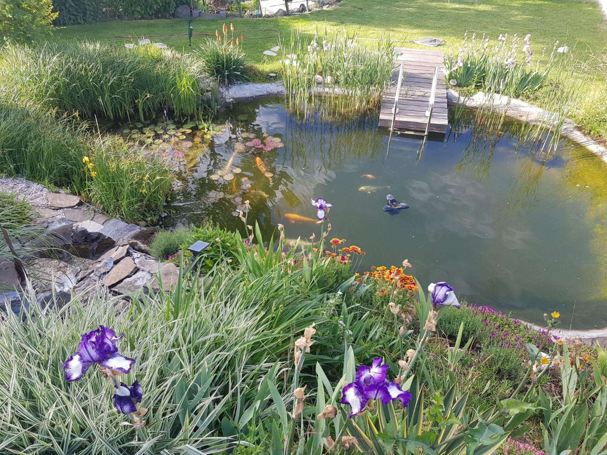 Wohlfuehlen Am Gartenteich Oberzissen Dış mekan fotoğraf